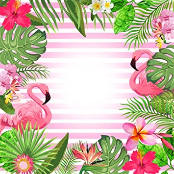 Detail Flamingo Background Images Nomer 47