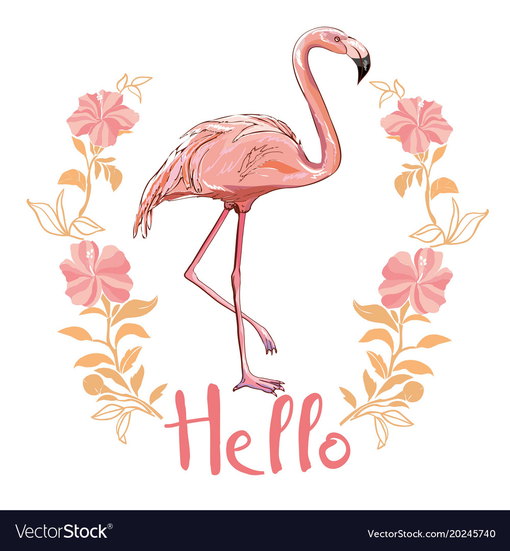 Detail Flamingo Background Images Nomer 53