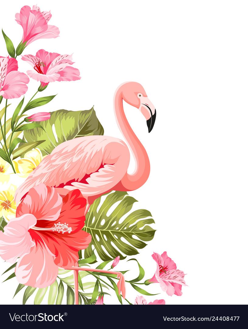 Detail Flamingo Background Images Nomer 55