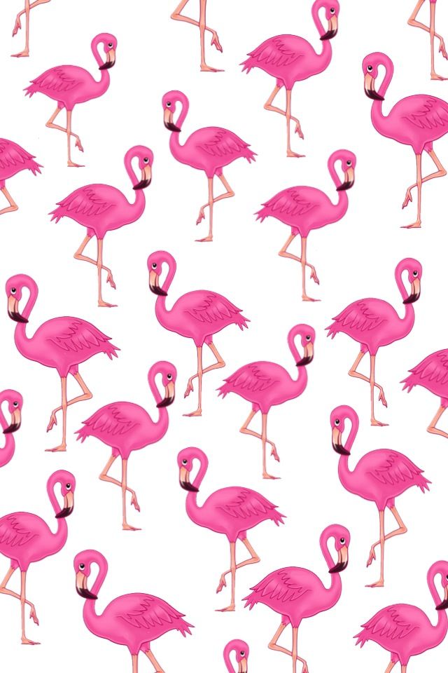 Detail Flamingo Background Tumblr Nomer 3