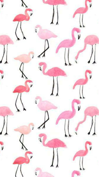 Detail Flamingo Background Tumblr Nomer 23