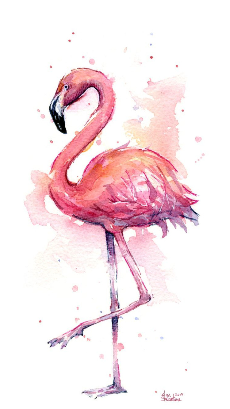 Detail Flamingo Background Tumblr Nomer 27