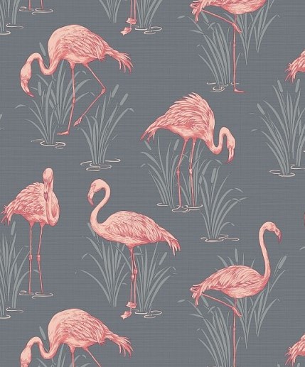 Detail Flamingo Background Tumblr Nomer 33