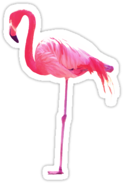 Detail Flamingo Background Tumblr Nomer 39