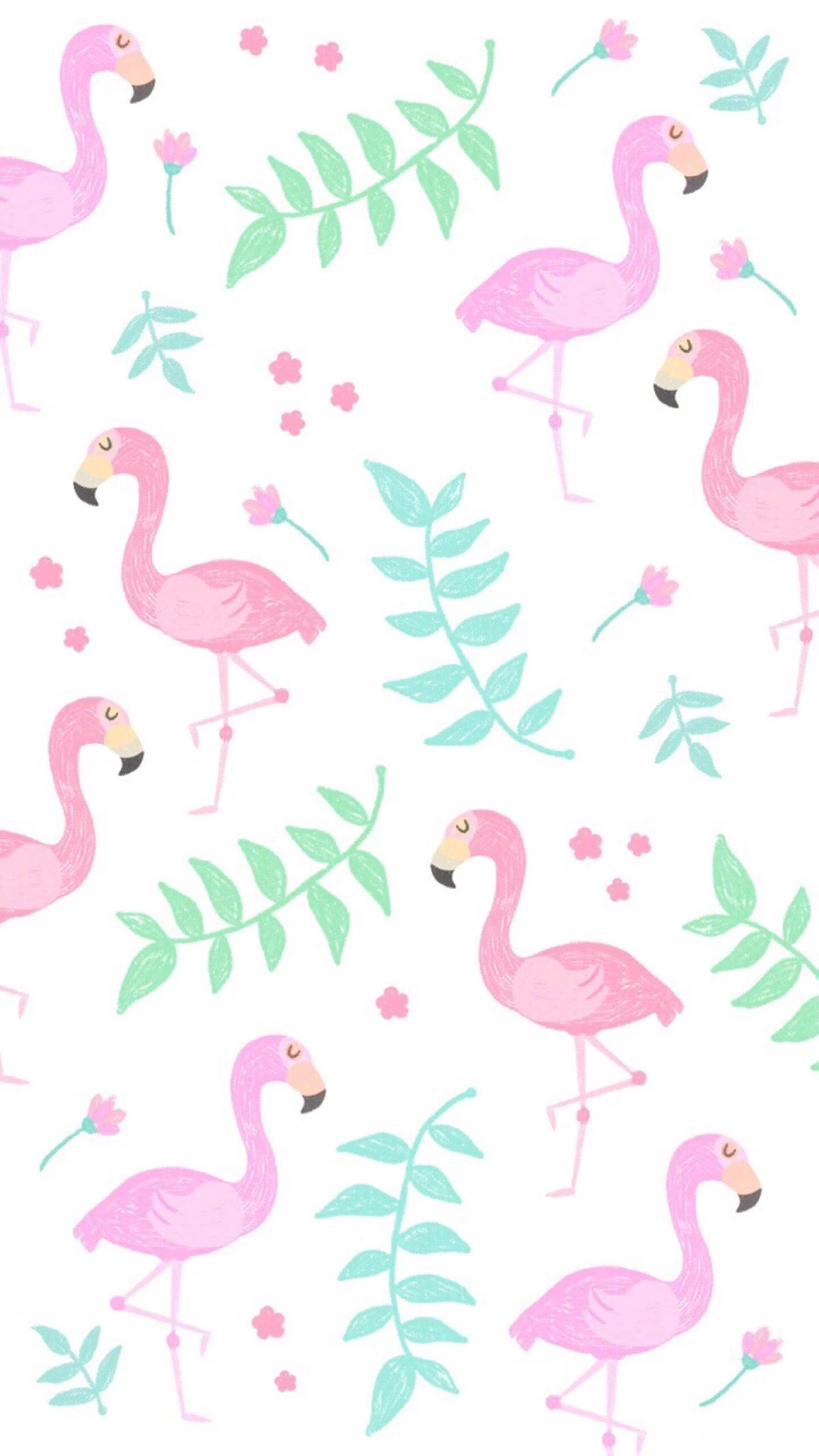 Detail Flamingo Background Tumblr Nomer 5