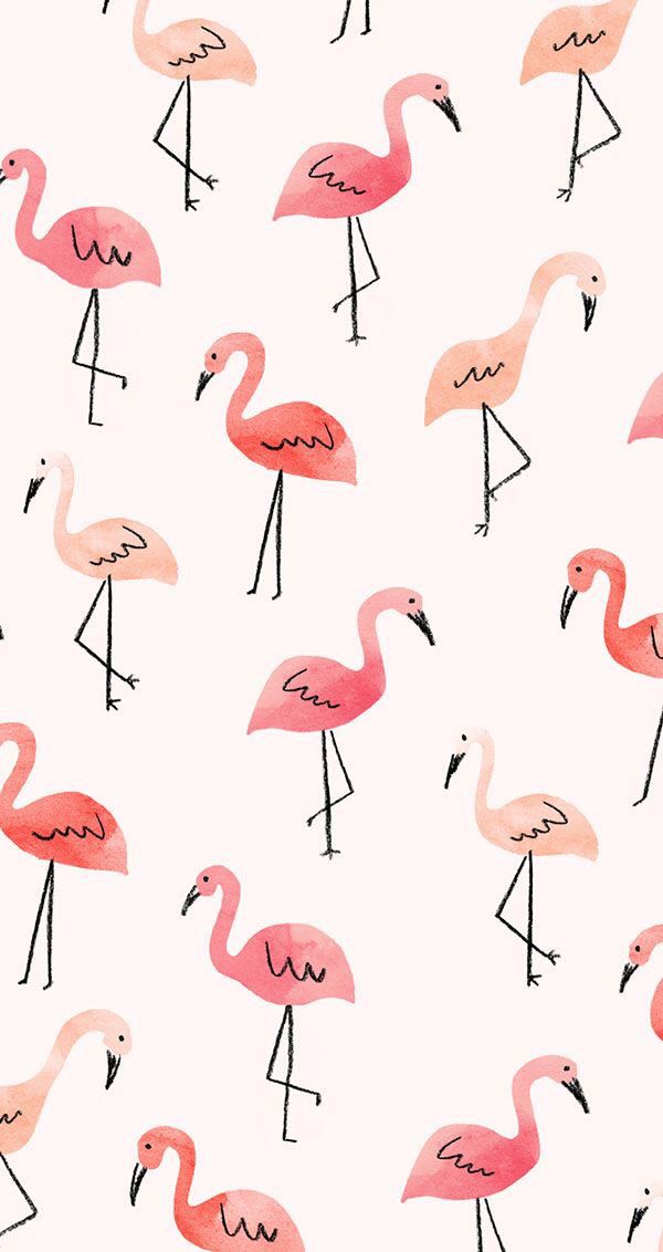 Detail Flamingo Background Tumblr Nomer 8