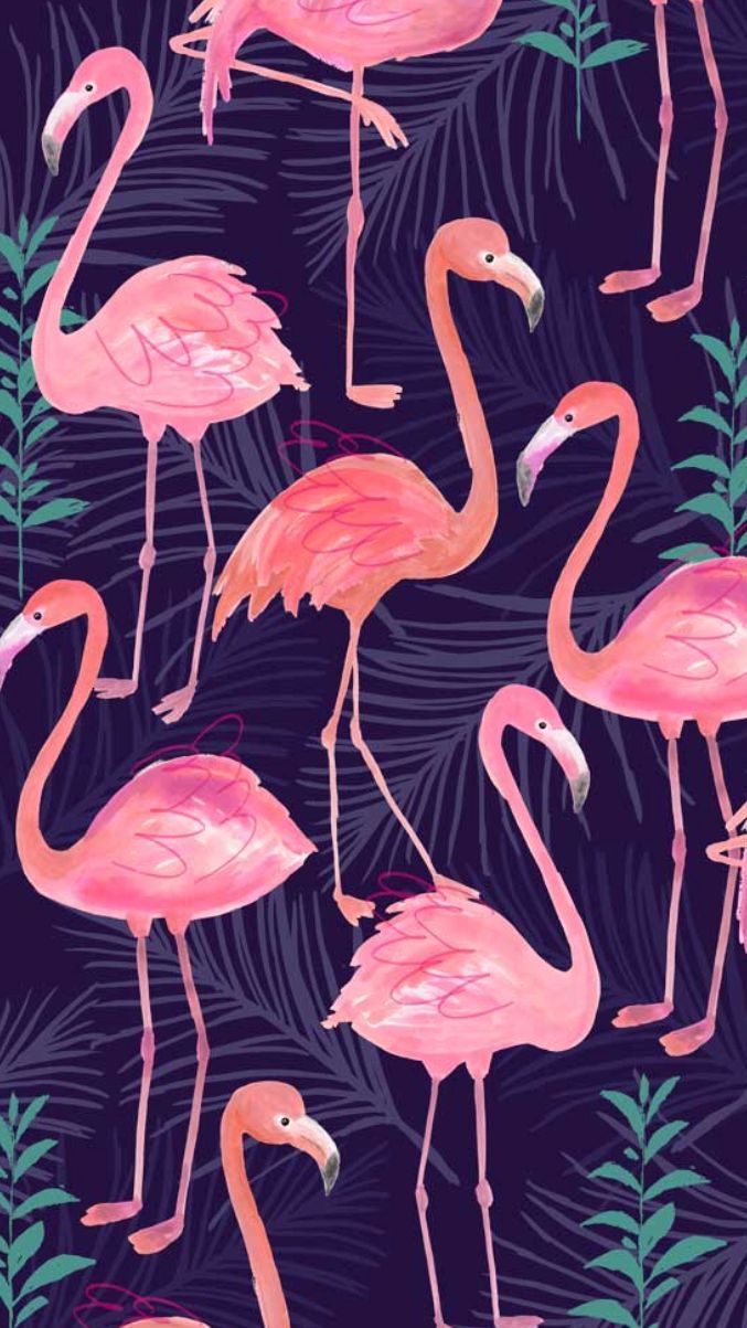 Detail Flamingo Background Tumblr Nomer 10