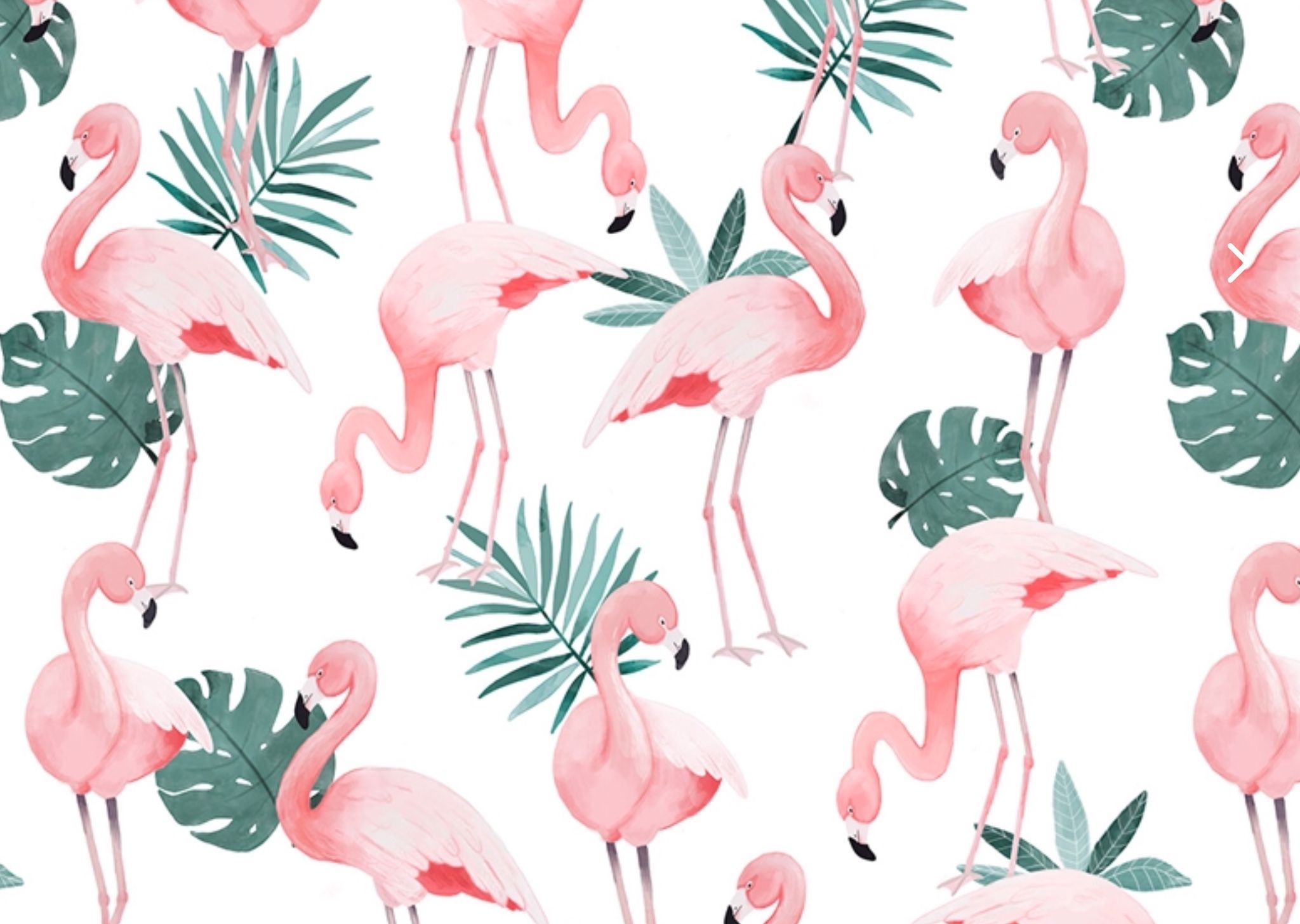 Flamingo Backgrounds - KibrisPDR