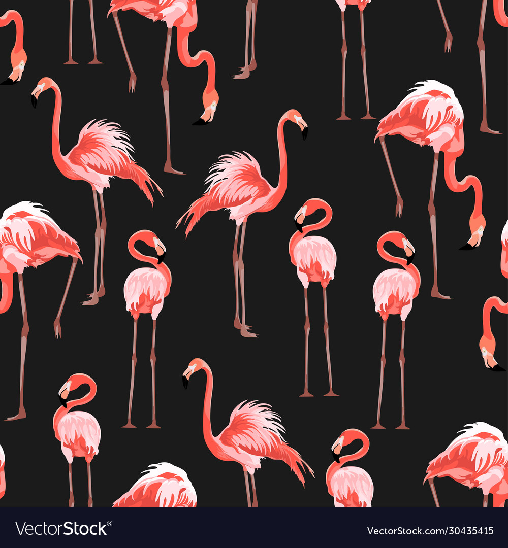 Detail Flamingo Backgrounds Nomer 11