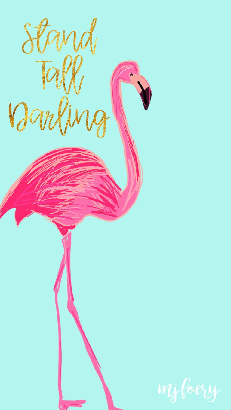 Detail Flamingo Backgrounds Nomer 4