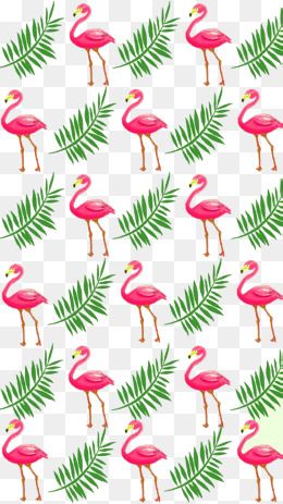 Detail Flamingo Backgrounds Nomer 39