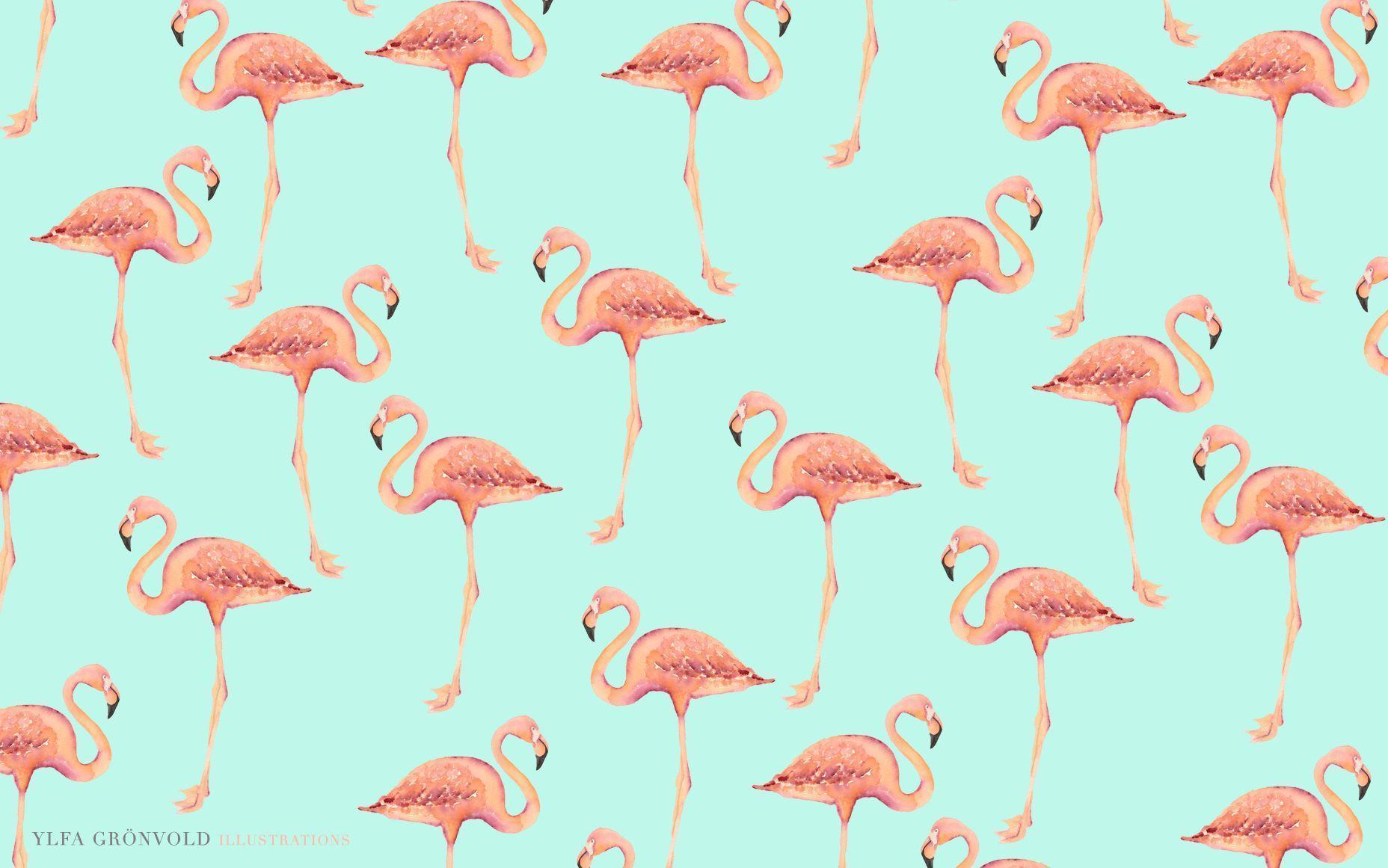 Detail Flamingo Backgrounds Nomer 9