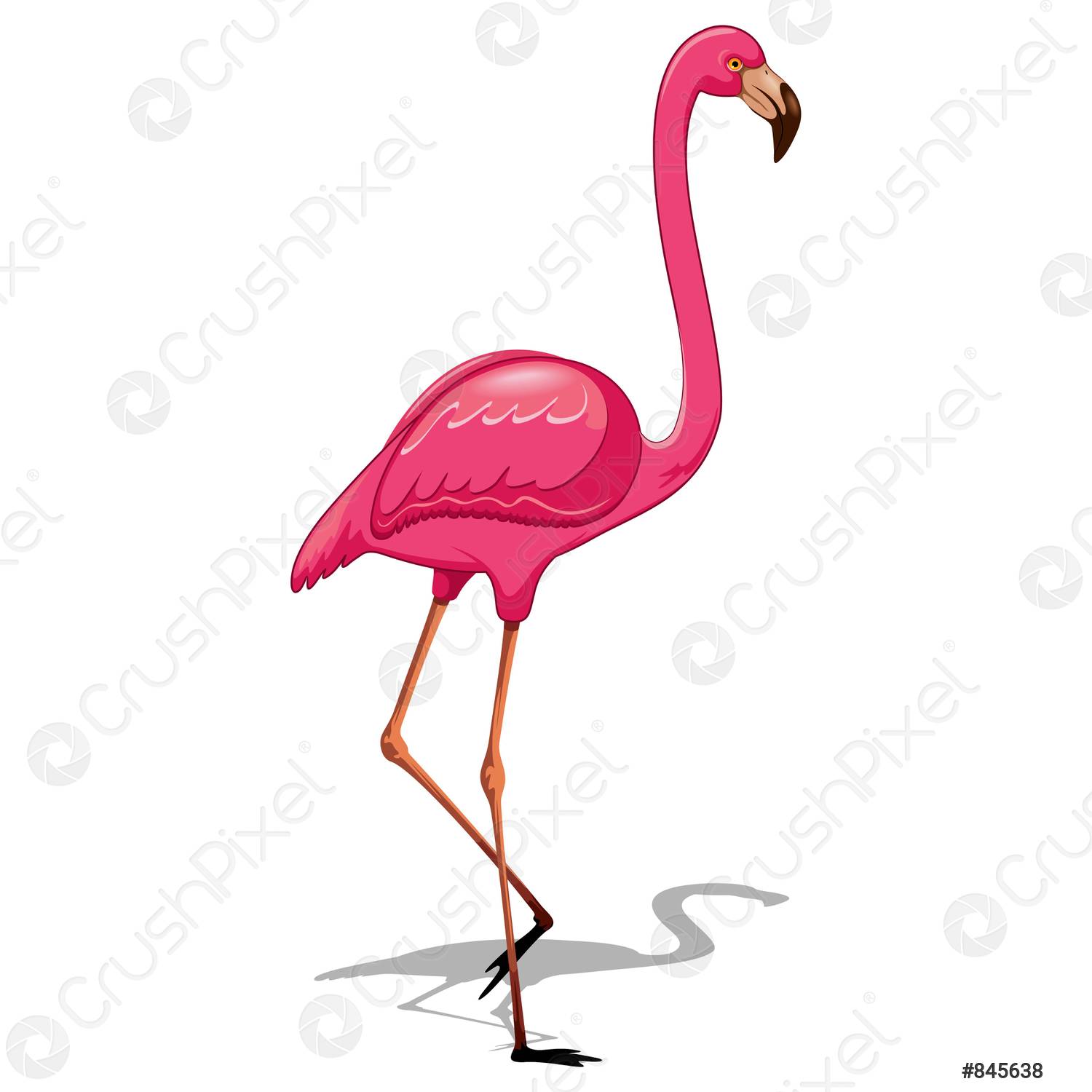 Detail Flamingo Bird Images Nomer 29