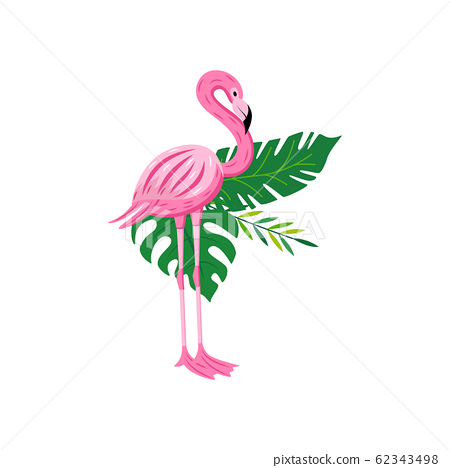 Detail Flamingo Bird Images Nomer 38