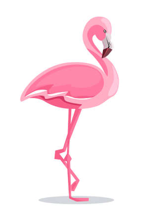 Detail Flamingo Clip Art Nomer 11