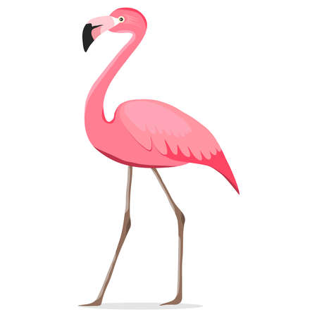 Detail Flamingo Clip Art Nomer 13