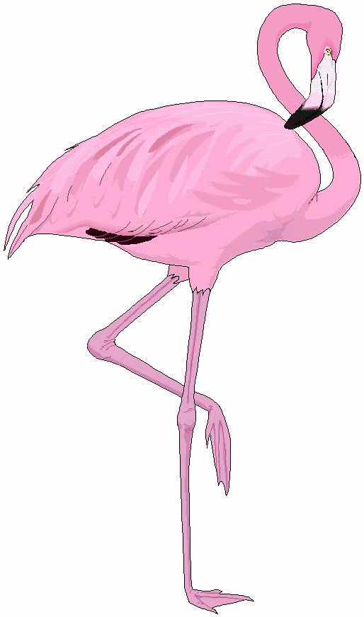 Detail Flamingo Clip Art Nomer 16