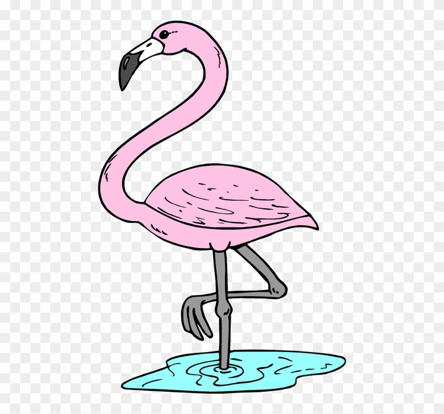 Detail Flamingo Clip Art Nomer 21