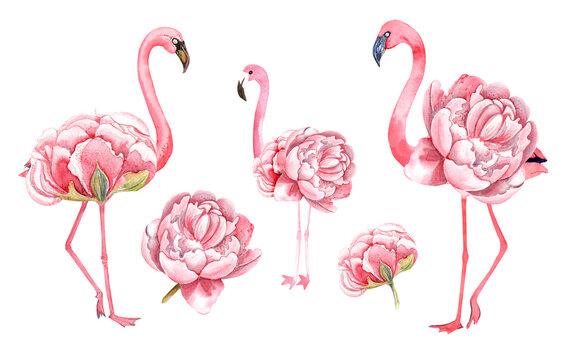 Detail Flamingo Clip Art Nomer 26