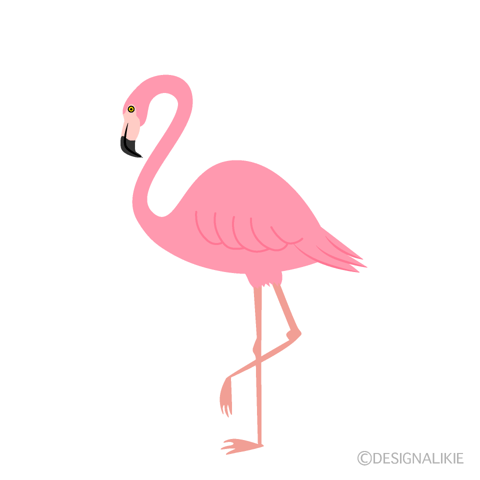 Detail Flamingo Clip Art Nomer 39