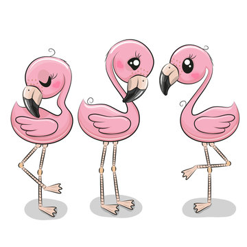 Detail Flamingo Clip Art Nomer 40