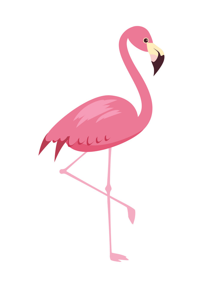 Detail Flamingo Clip Art Nomer 41