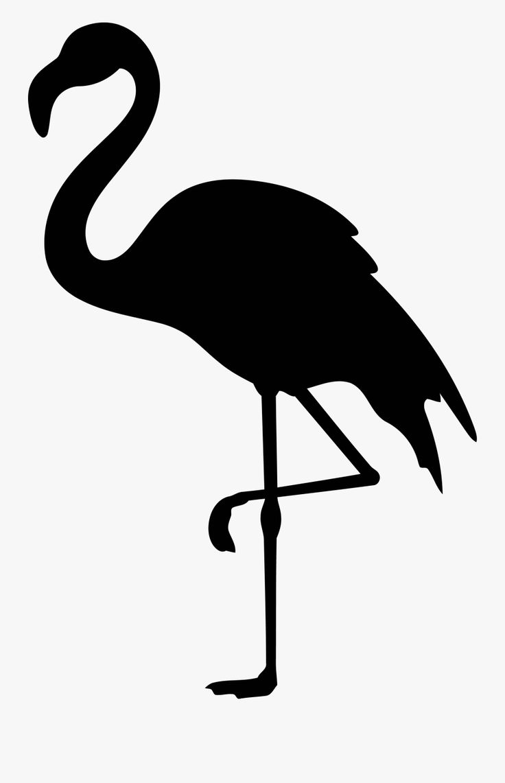 Detail Flamingo Clip Art Nomer 45