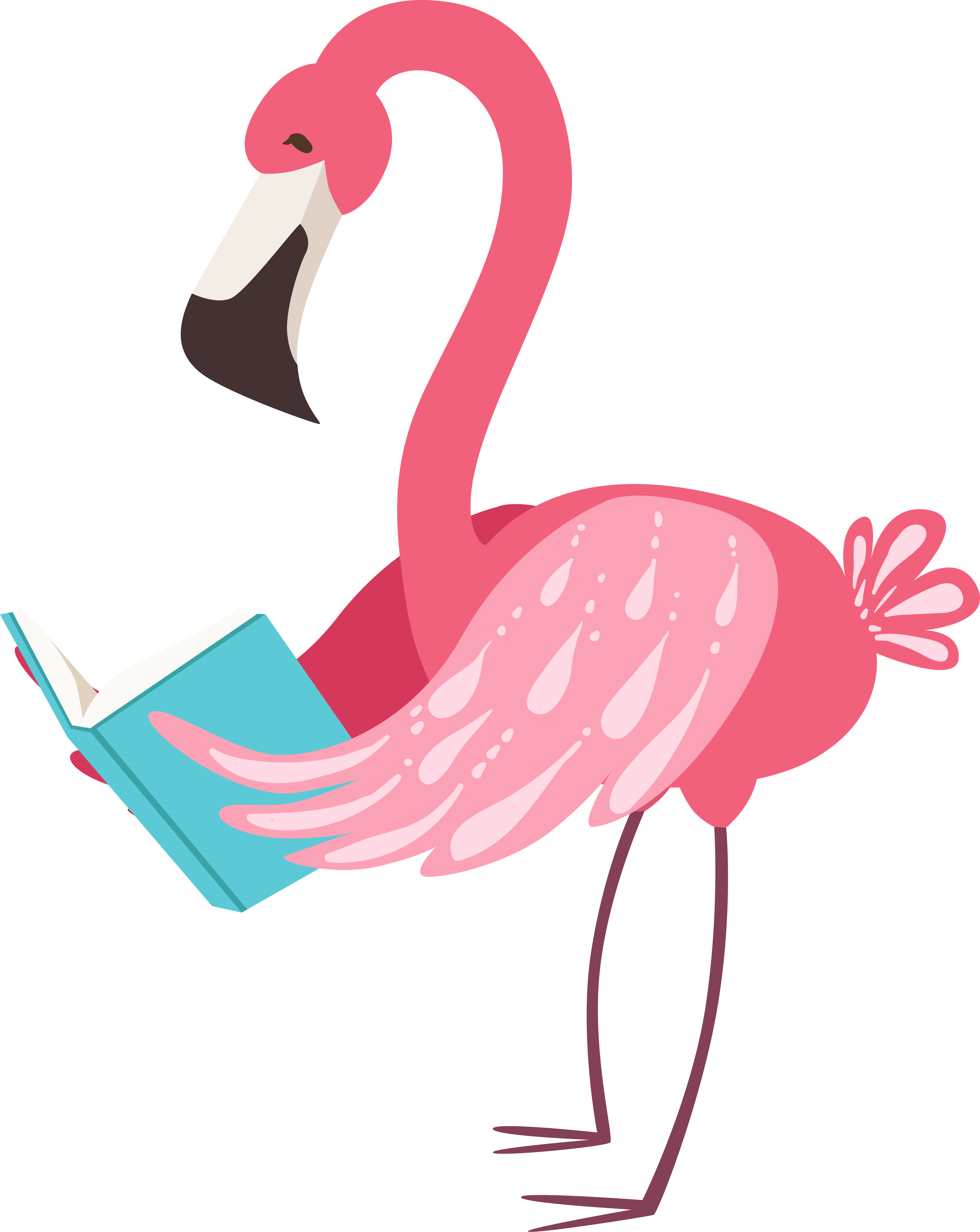 Detail Flamingo Clip Art Nomer 47