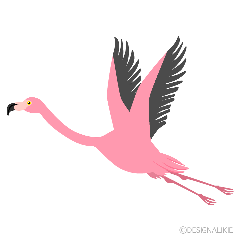Detail Flamingo Clip Art Nomer 49