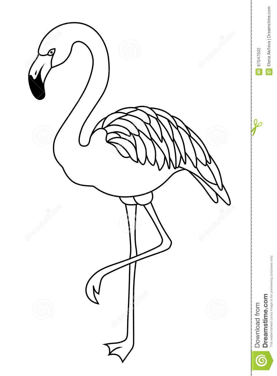 Detail Flamingo Clip Art Free Nomer 33