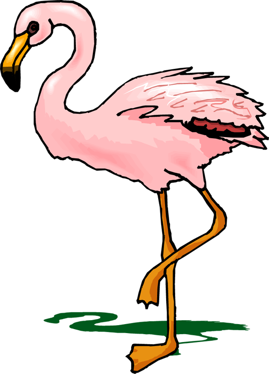 Detail Flamingo Clip Art Free Nomer 41