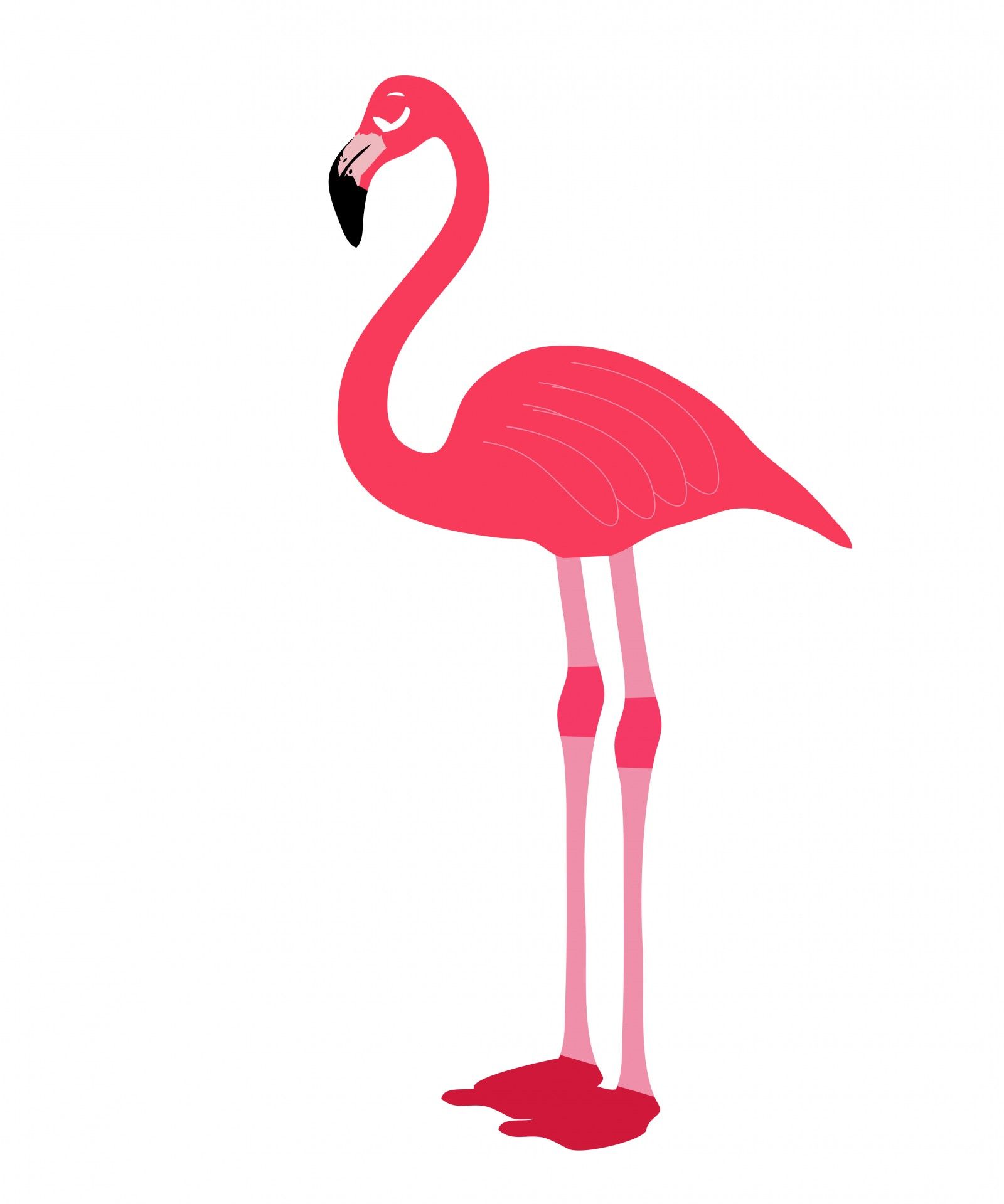 Detail Flamingo Clip Art Free Nomer 6