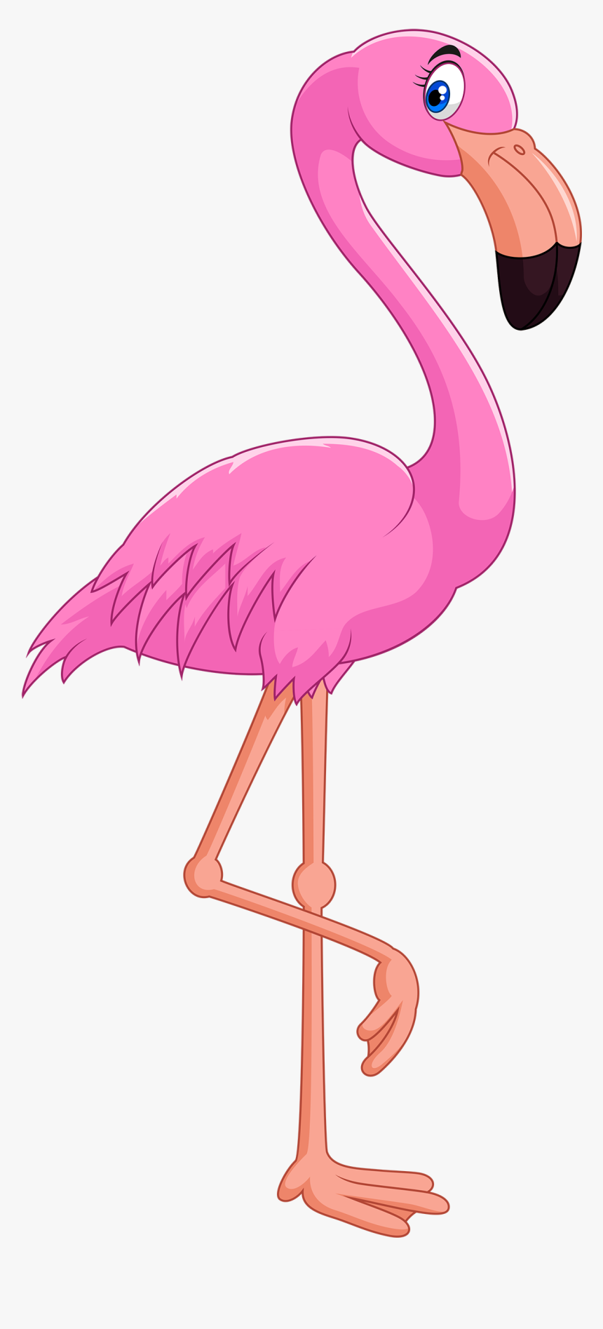 Detail Flamingo Clipart Nomer 16