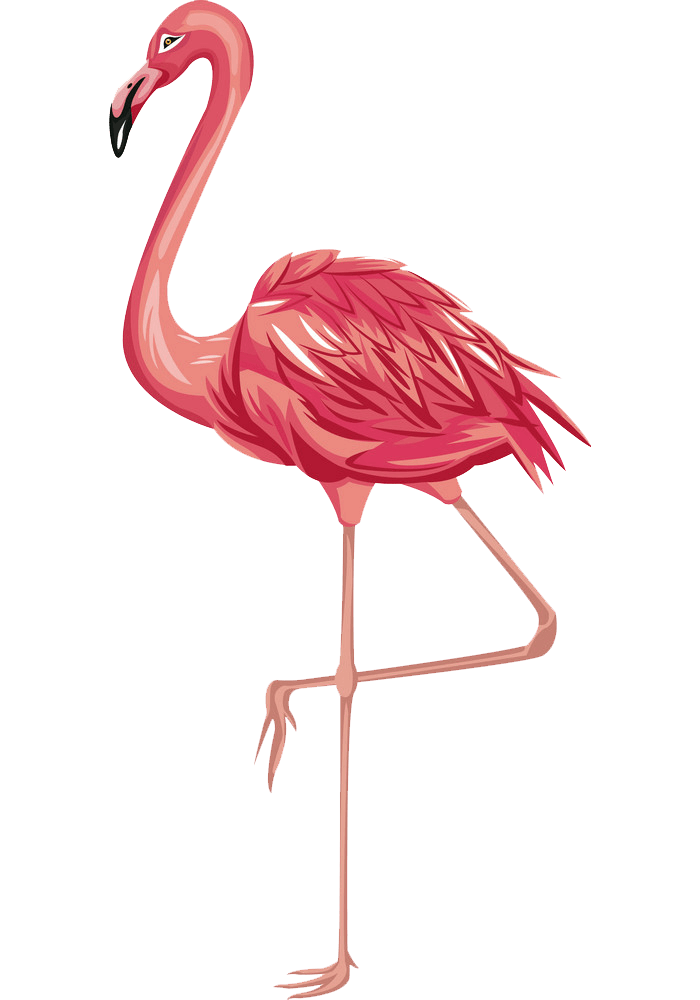 Detail Flamingo Clipart Nomer 26