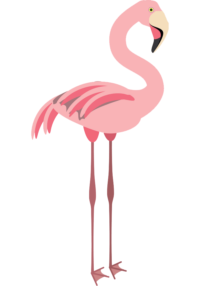 Detail Flamingo Clipart Nomer 31