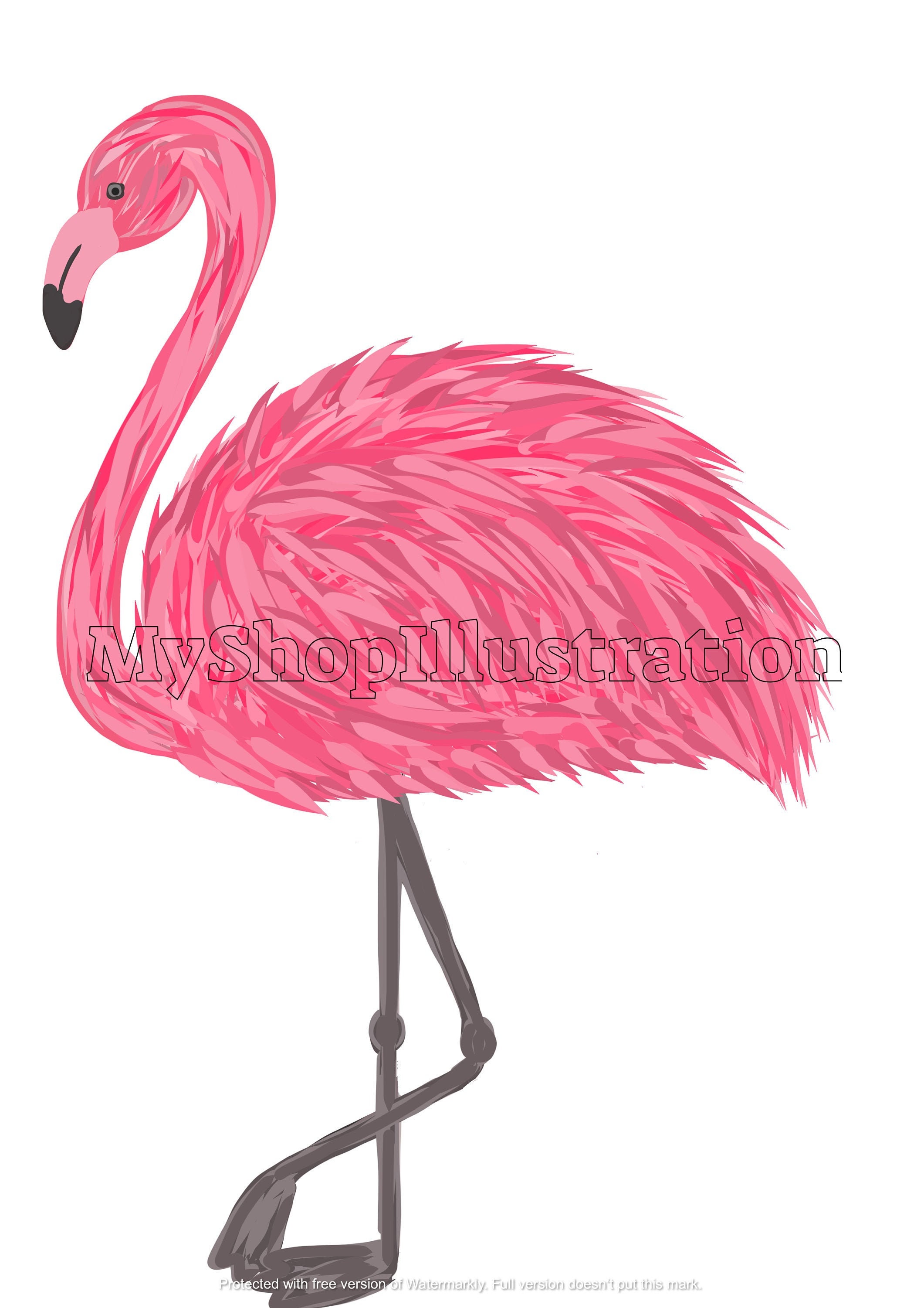 Detail Flamingo Clipart Nomer 36
