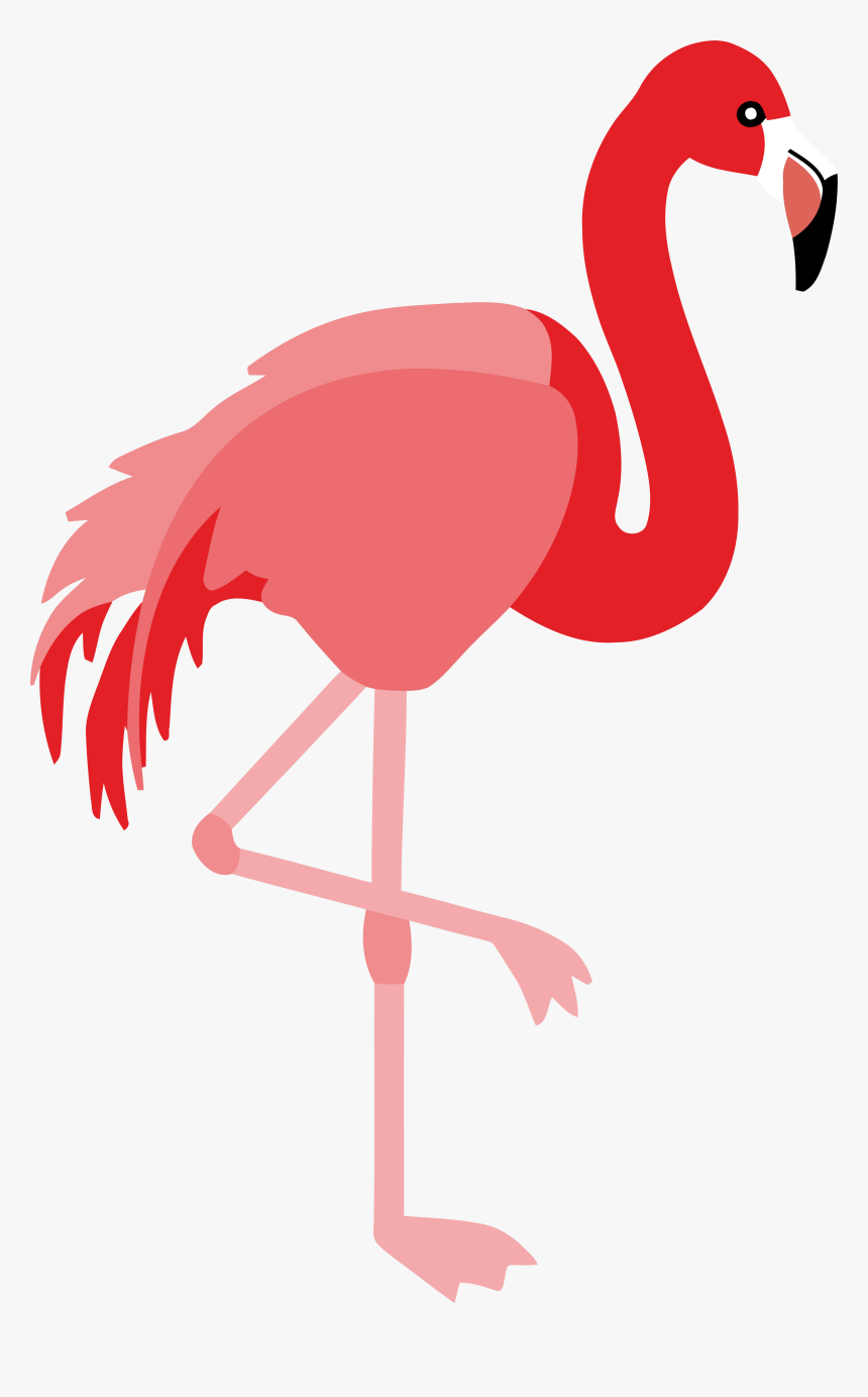 Detail Flamingo Clipart Nomer 42