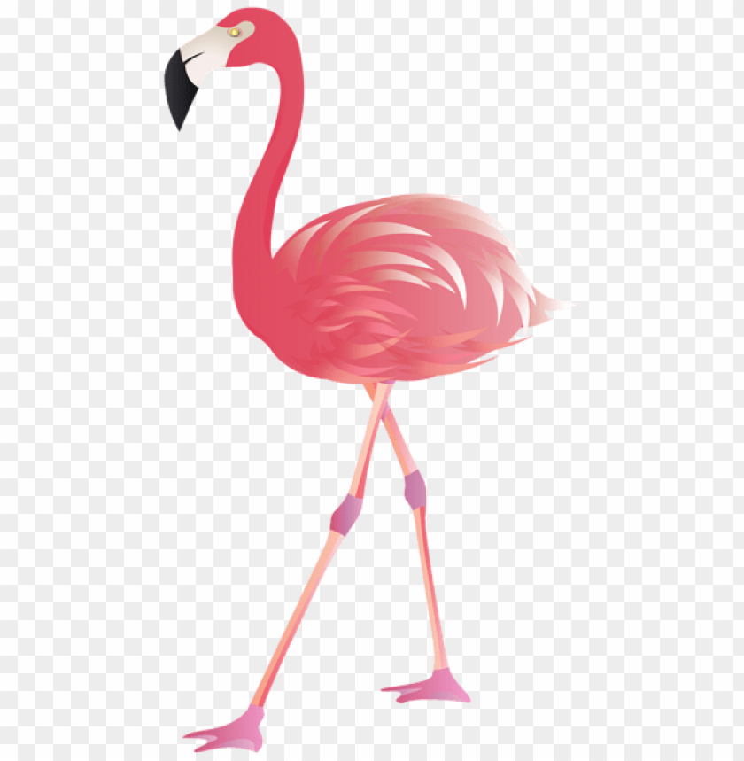 Flamingo Download - KibrisPDR