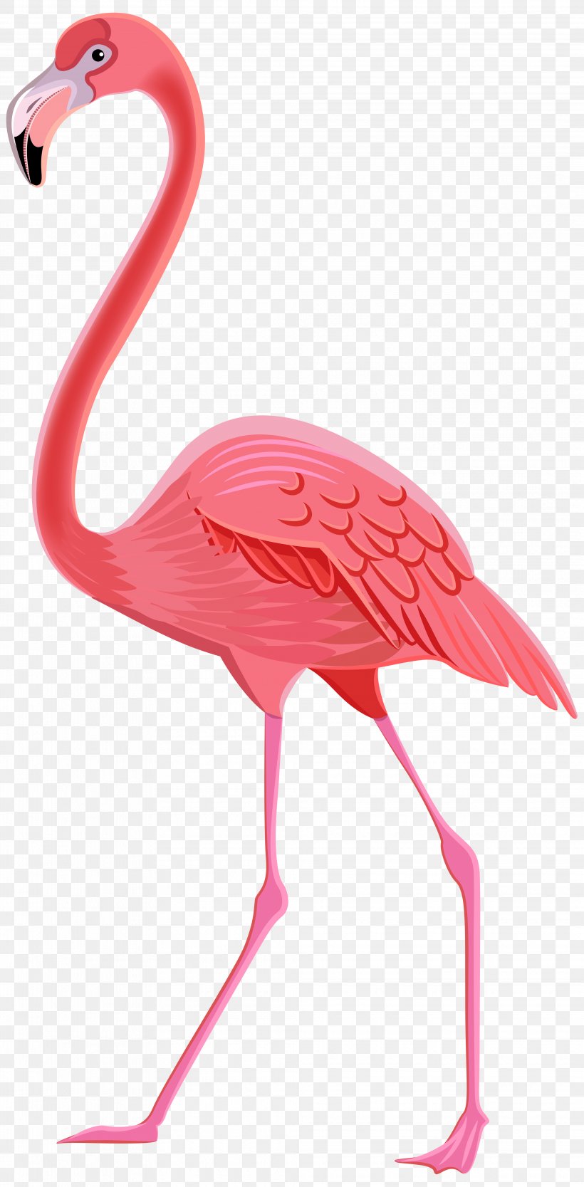 Detail Flamingo Download Nomer 11