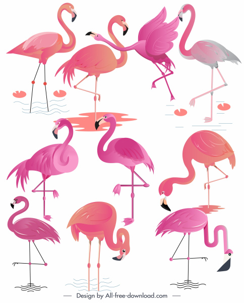 Detail Flamingo Download Nomer 21