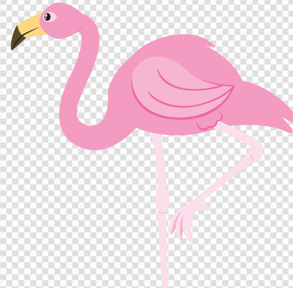 Detail Flamingo Download Nomer 26