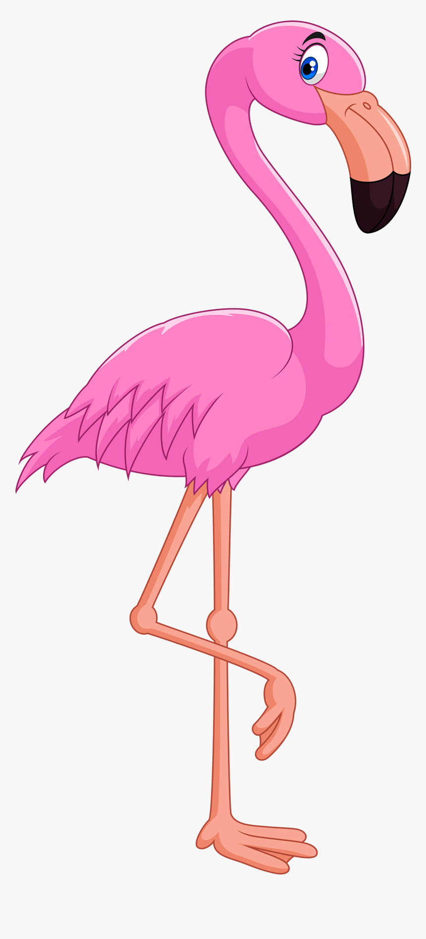 Detail Flamingo Download Nomer 28