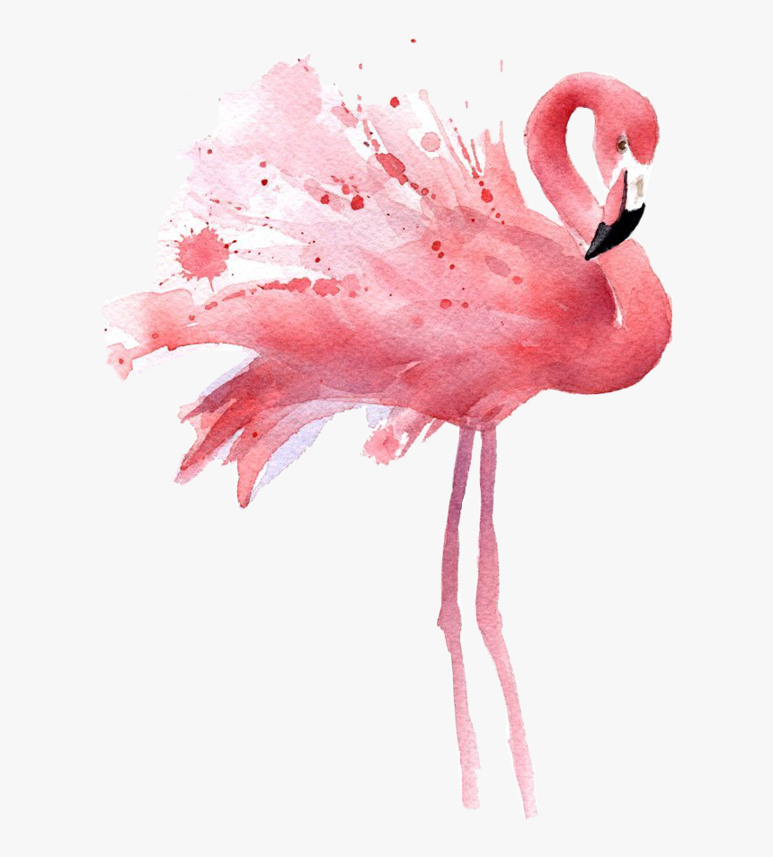 Detail Flamingo Download Nomer 36