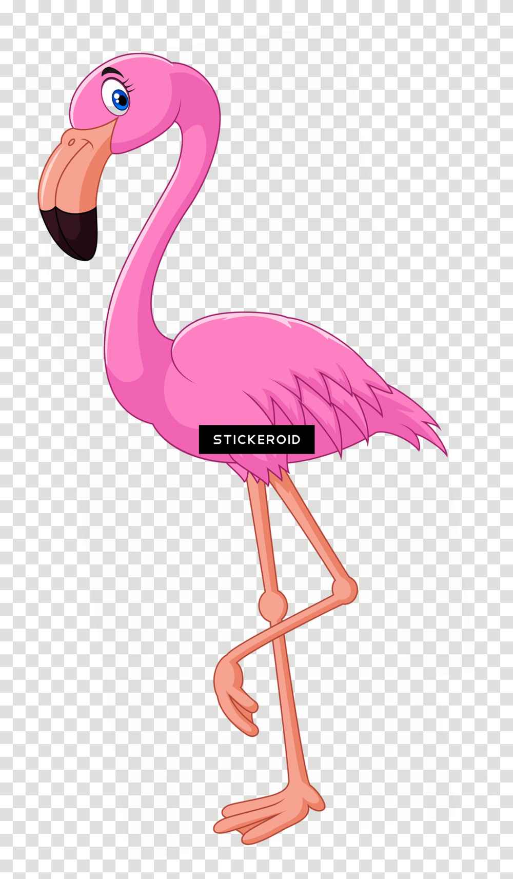 Detail Flamingo Download Nomer 37