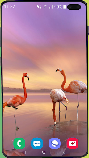 Detail Flamingo For Twitter Apk Nomer 52