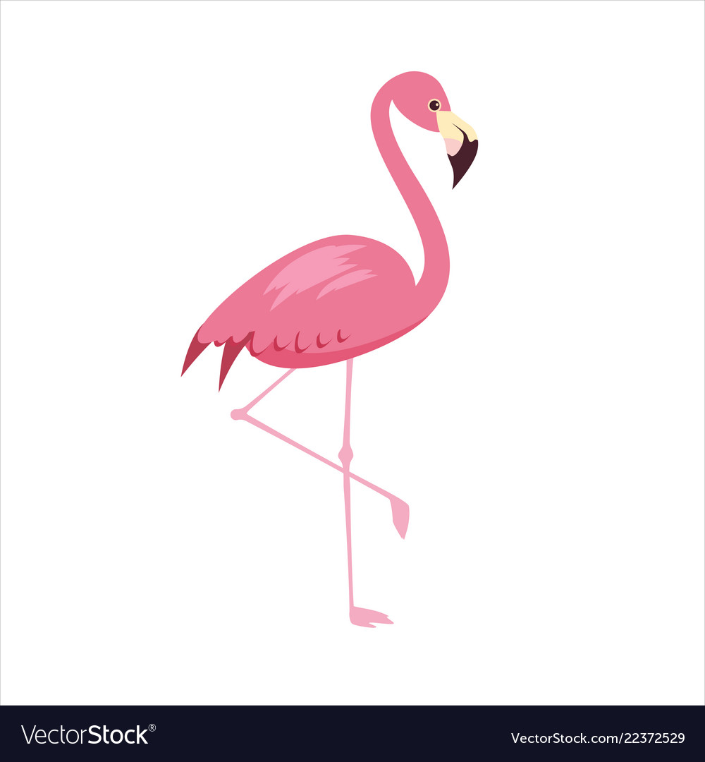 Flamingo Free Vector - KibrisPDR