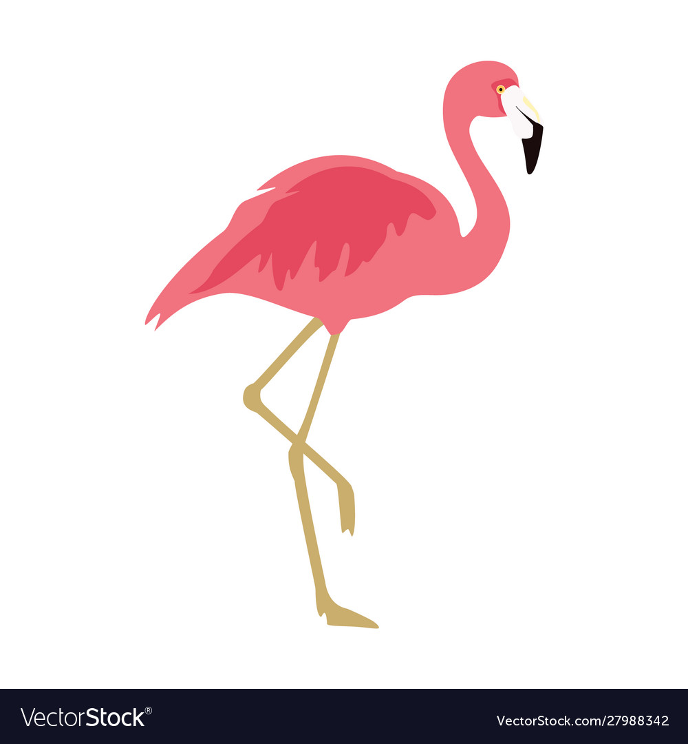 Detail Flamingo Free Vector Nomer 11