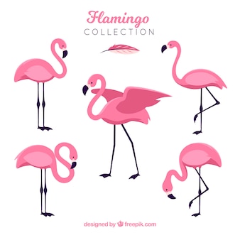 Detail Flamingo Free Vector Nomer 13