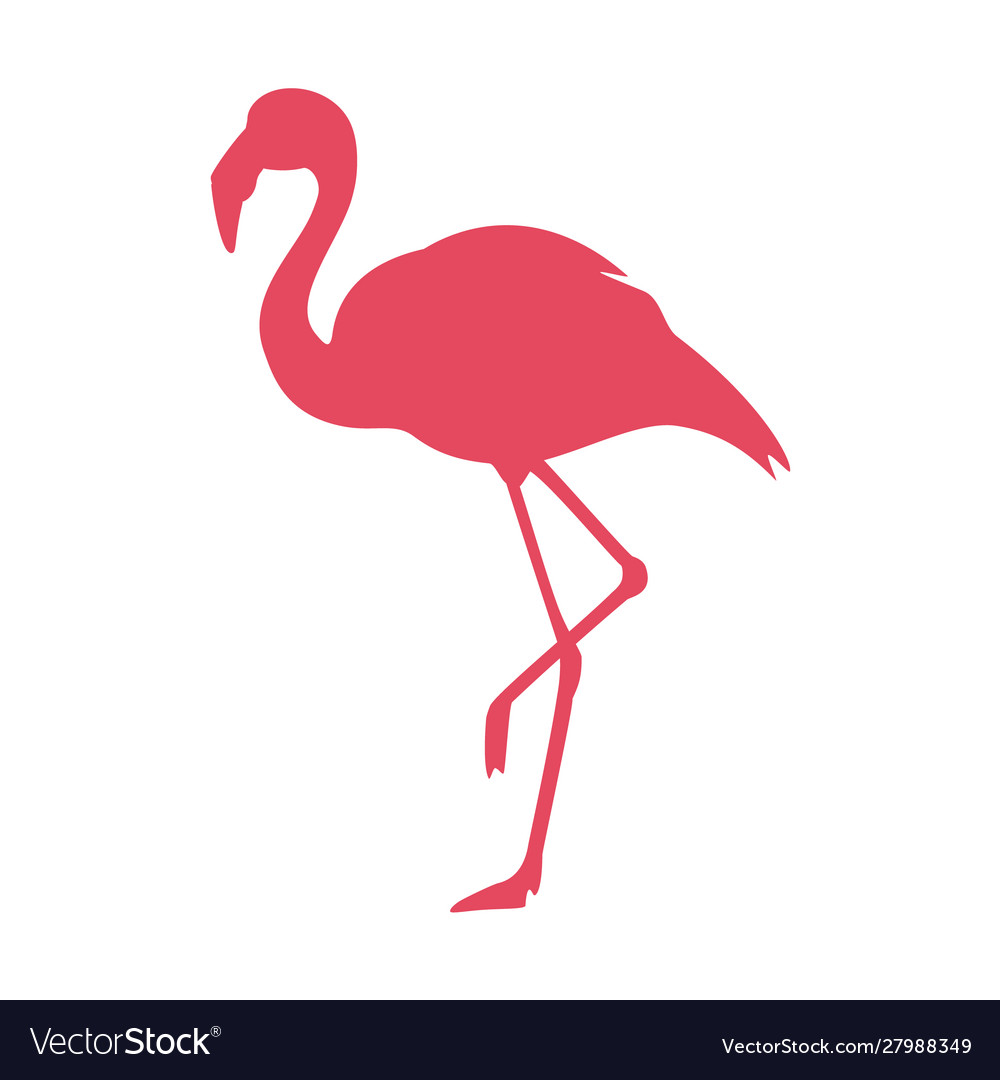 Detail Flamingo Free Vector Nomer 3