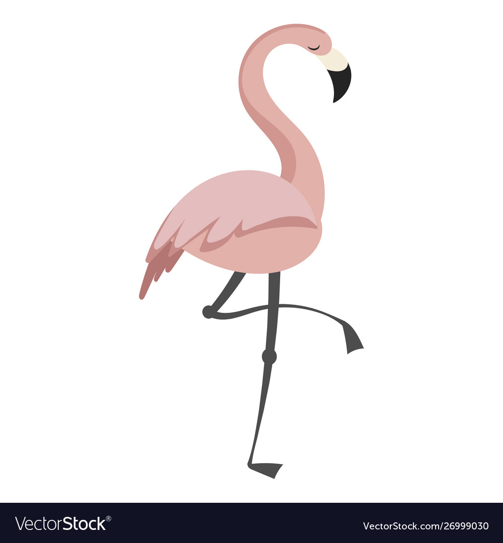 Detail Flamingo Free Vector Nomer 23